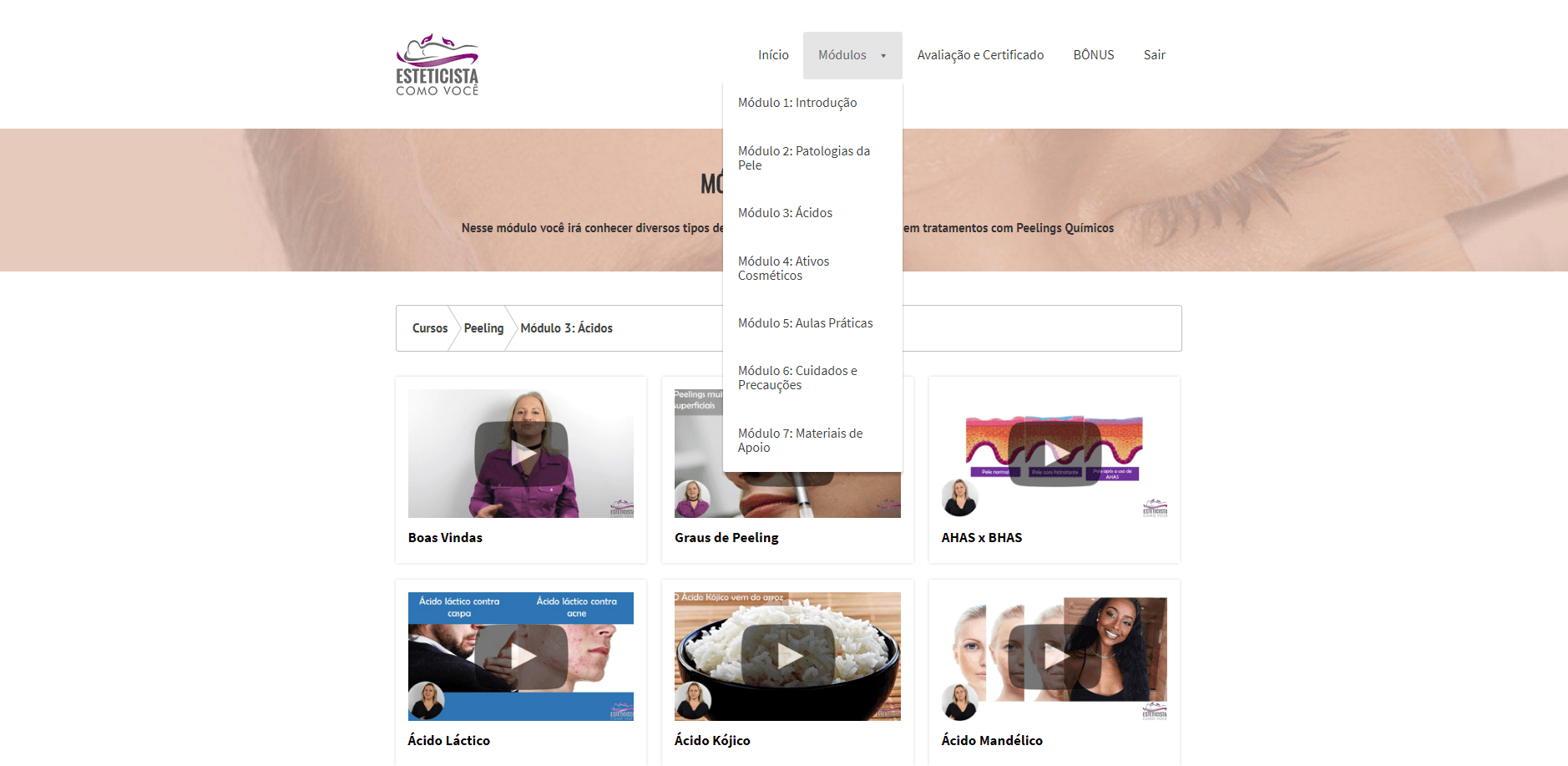 Curso Online Microagulhamento