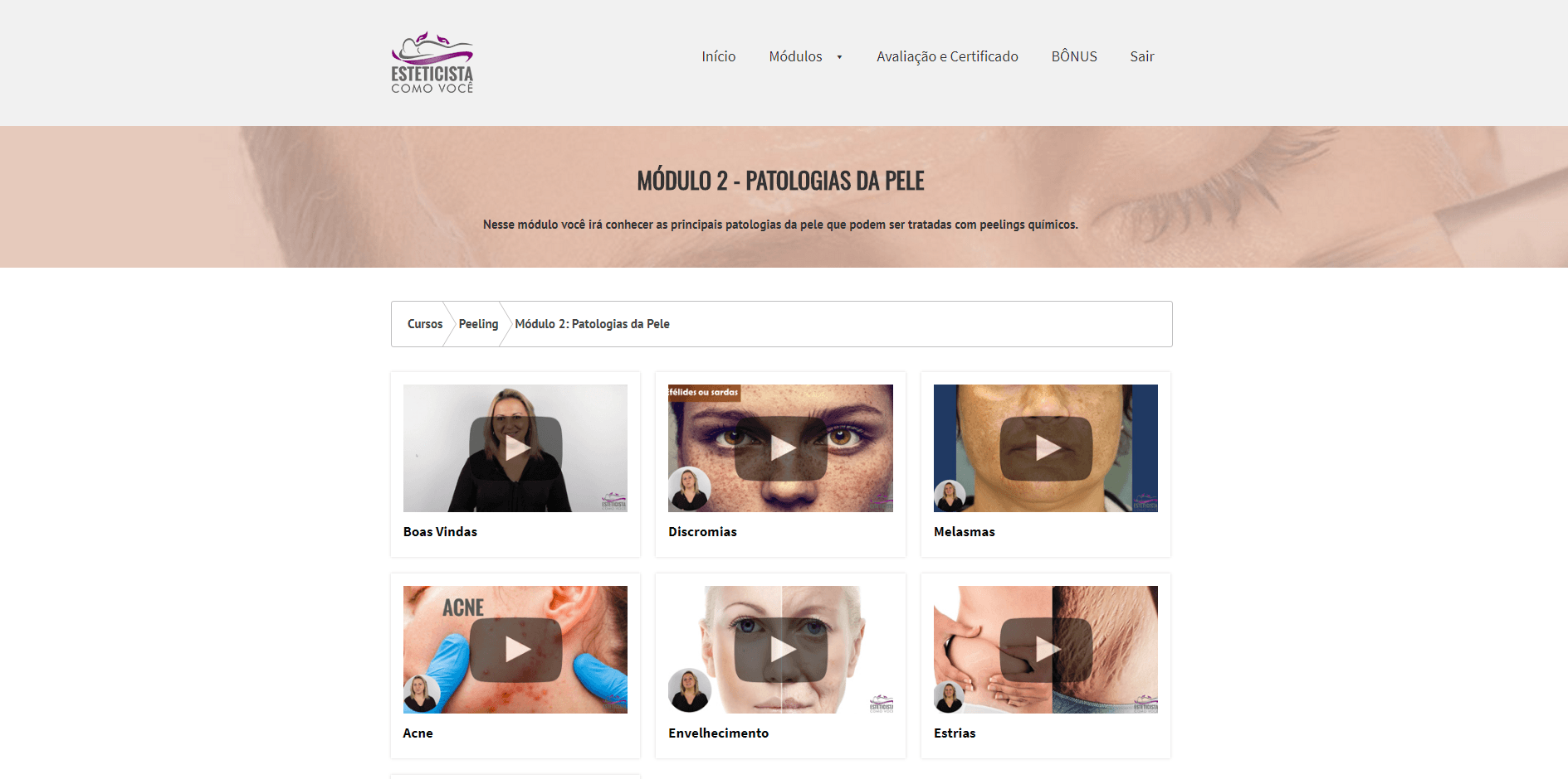 Curso Online Microagulhamento